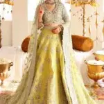 Pakistani Wedding Dresses
