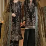 Pakistani Party Dresses